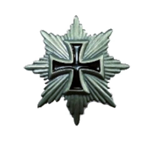 Anstecker "Blücherstern"