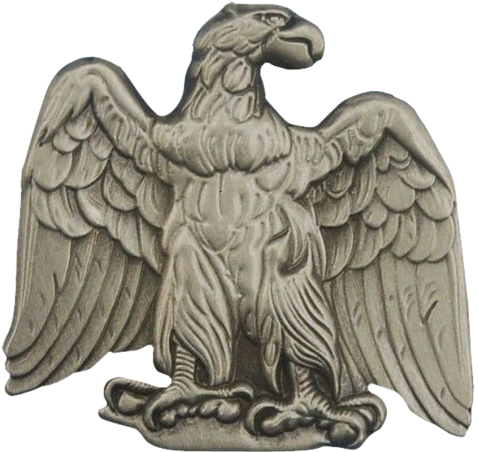 Anstecker "Erhabener Adler"