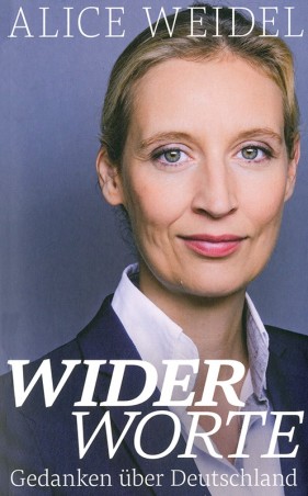 Widerworte - Gedanken über Deutschland