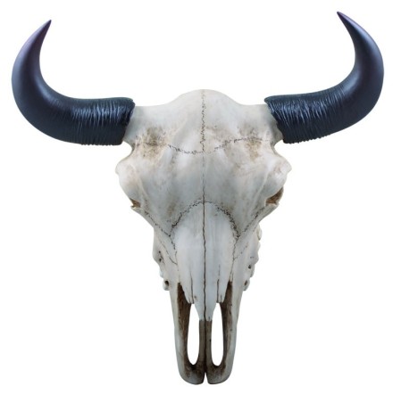 "Audhumbla"