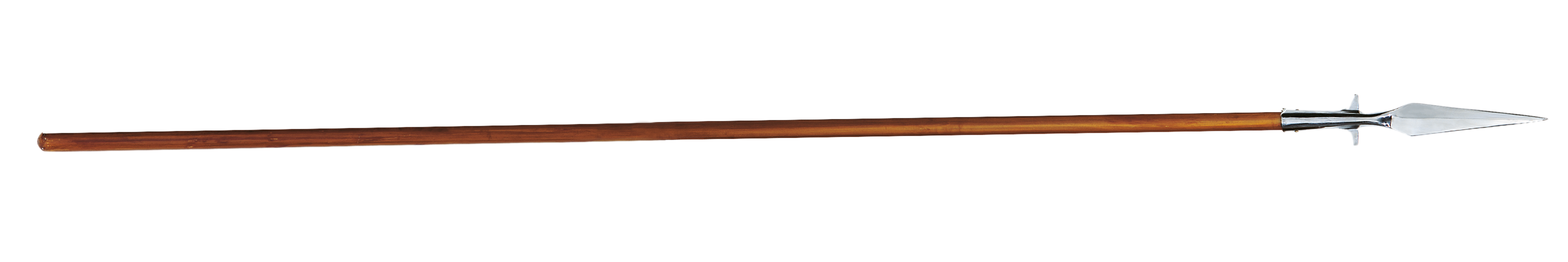 "Ritterspieß"