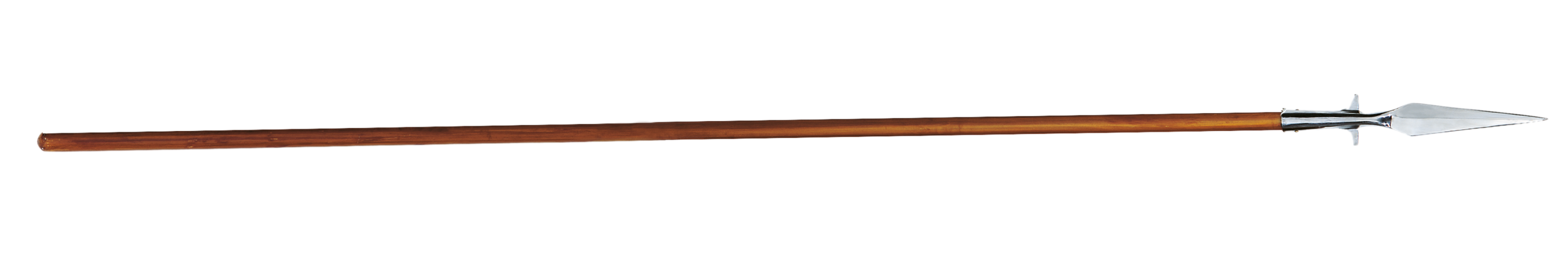 "Ritterspieß"