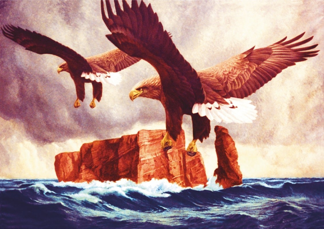 "Die Wacht" (Seeadler vor Helgoland)