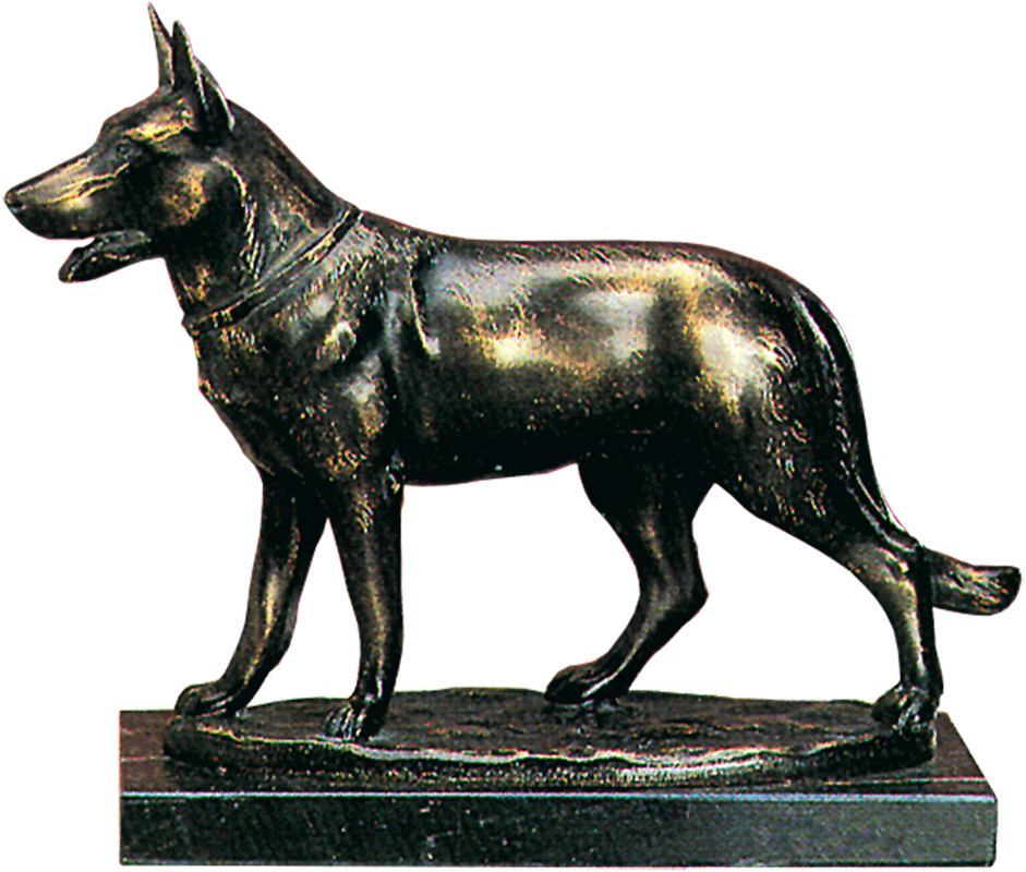 "Deutscher Schäferhund"