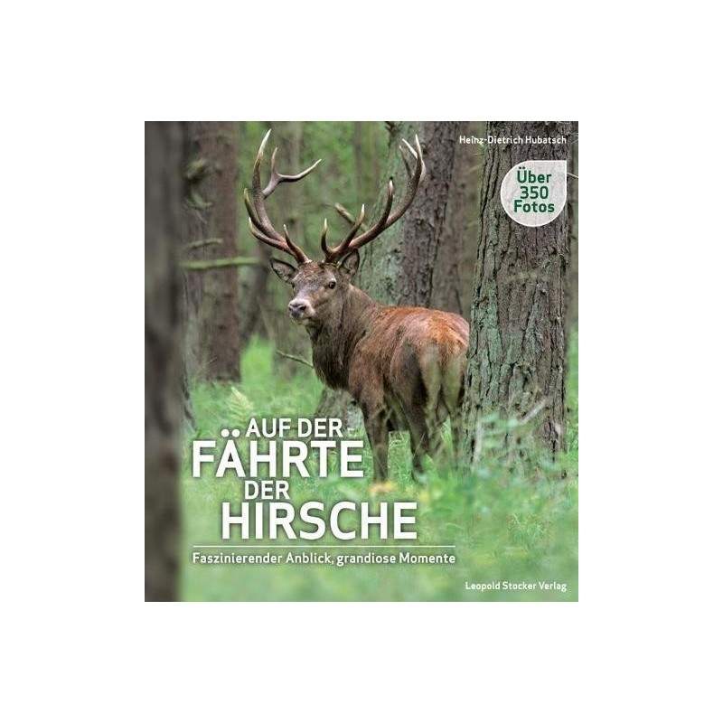 Auf der Fährte der Hirsche