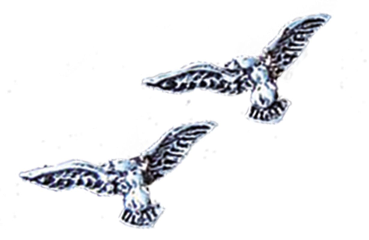 "Adler"