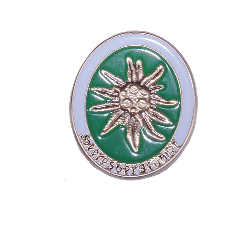 Anstecker "Heeresbergführer"