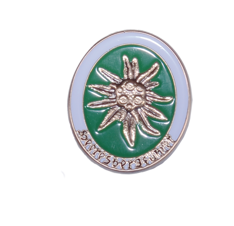 Anstecker "Heeresbergführer"