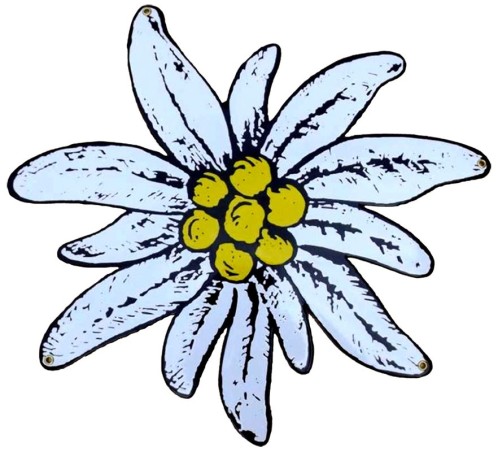 Blechschild "Edelweiß" 47 x 47 cm