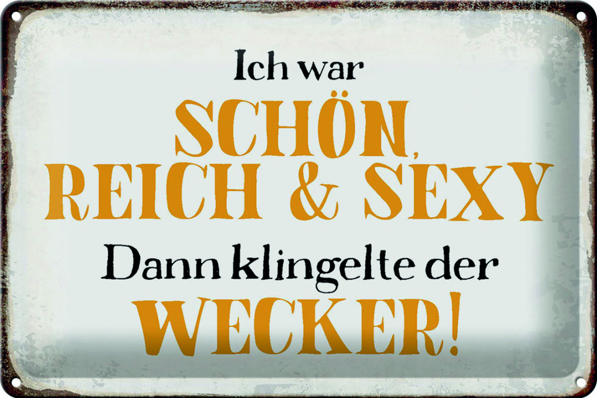 Blechschild "Ich war schön, reich und sexy"
