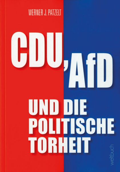 CDU, AFD und die politische Torheit